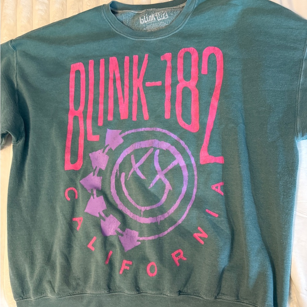Urban Outfitters Green Sweatshirt with Pink and Purple Graphic